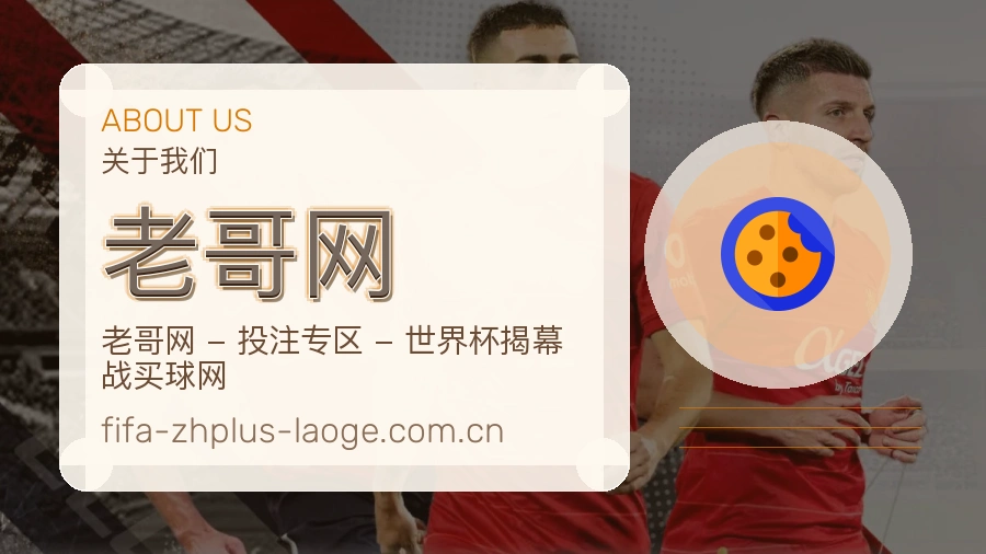 老哥网平台概况